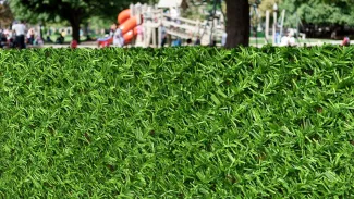 فنس چمنی فنس چمنی